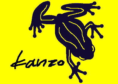 ̹