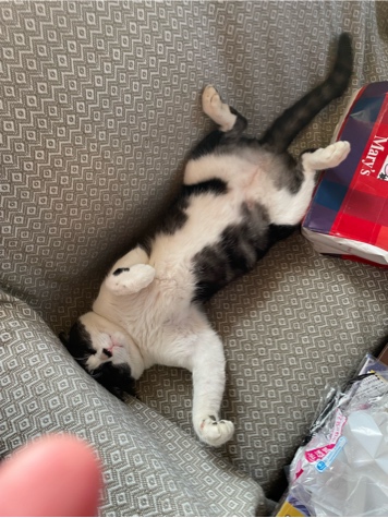 �̹���