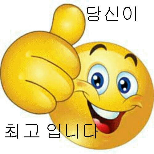 ̹