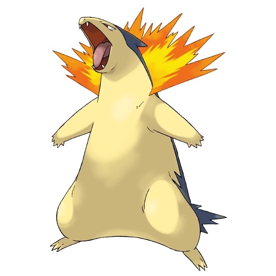 ̹